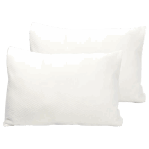 Set de 2 Oreillers à mémoire de forme Aloe Verra - Gérard Pasquier