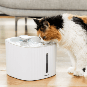 Fontaine pratique pour animaux (3 types d’écoulements: cascade, source, fontaine)