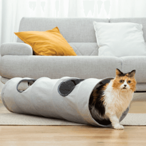 Tunnel de jeu pliable pour animaux InnovaGoods