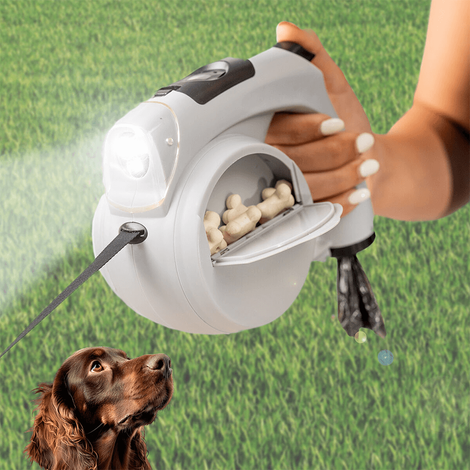 Laisse de chien rétractable 6en1 InnovaGoods – Image 2