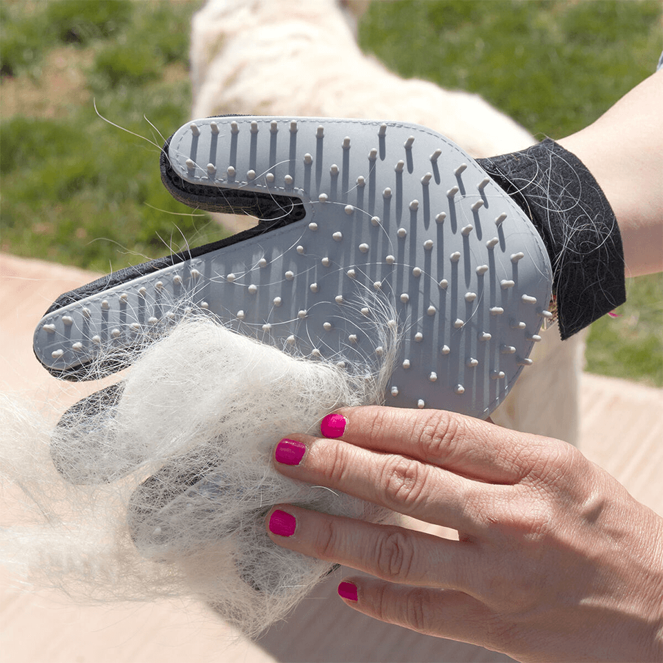 Gant de brossage et massage 2en1 pour chat et chien InnovaGoods – Image 4