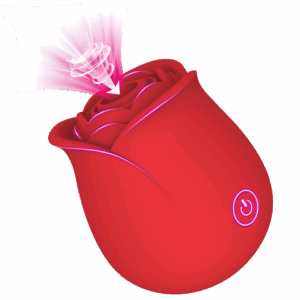 Sextoys 2en1 (Vibration et Masseur)