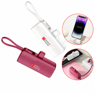 Batterie portable pratique (USB-C) 5’000 mAh Swiss ProLine