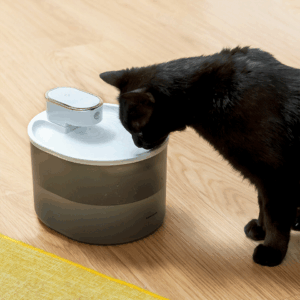Fontaine pour chats rechargeable avec détecteur InnovaGoods