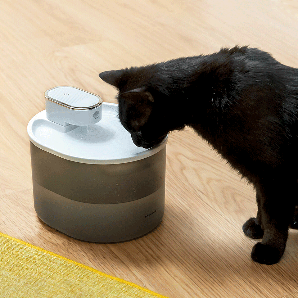 Fontaine pour chats rechargeable avec détecteur InnovaGoods