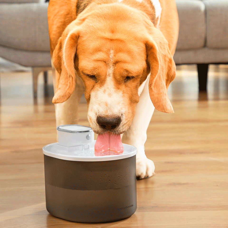 Fontaine pour chats rechargeable avec détecteur InnovaGoods – Image 2