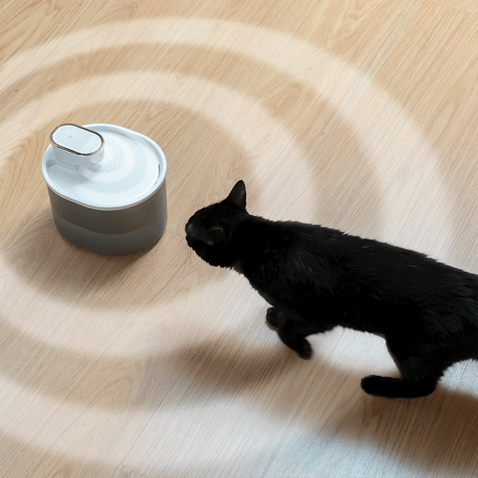 Fontaine pour chats rechargeable avec détecteur InnovaGoods – Image 5