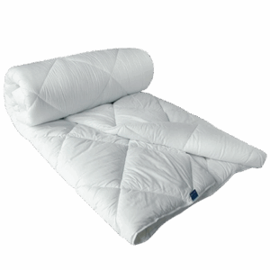 Duvet haute qualité doux et moelleux GERARD PASQUIER
