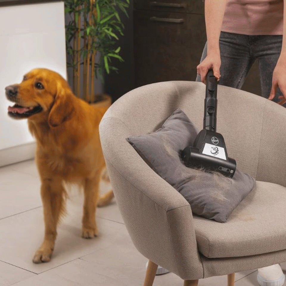 Aspirateur sans sac 850W HOOVER – Image 5